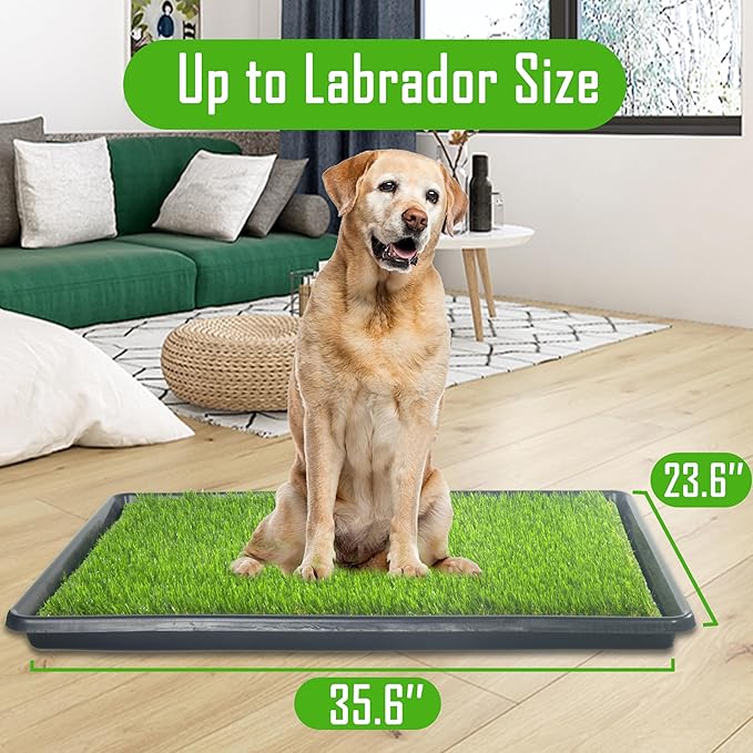 Reusable Dog Loo System with Artificial Grass Turf&amp;Pee Pads&amp;Tray, for Puppy Potty Training is Portable&amp;Easy to Clean,35x23in Large Dog Litter Box Toilet for Indoor/Outdoor use(35.6&