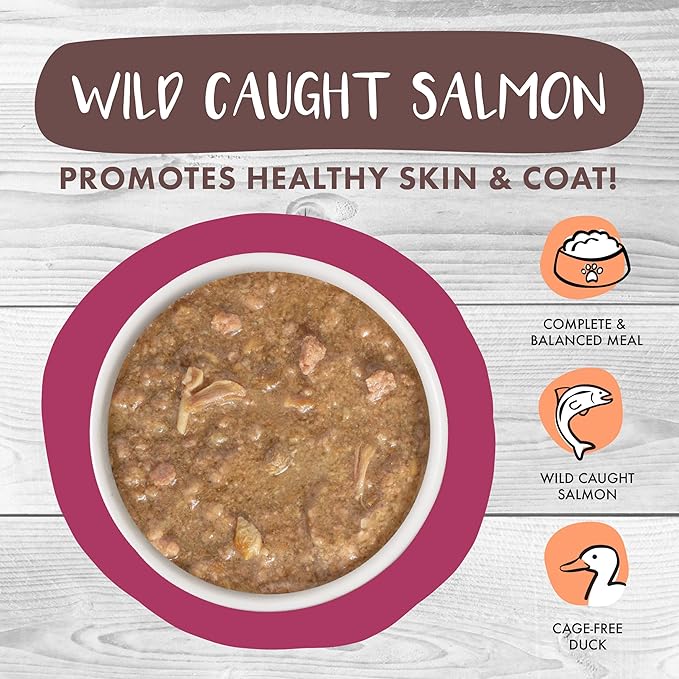 Weruva Classic Cat Stews!, Stewlander with Duck &amp; Salmon in Gravy, 2.8oz Can (Pack of 12)