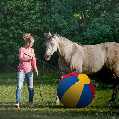 Herding Ball for Dogs Horse &amp; Cover 25" Ball for Horses Large with Hand Pump for Play Horse Toys for Horses Stall, Red and Blue and Yellow