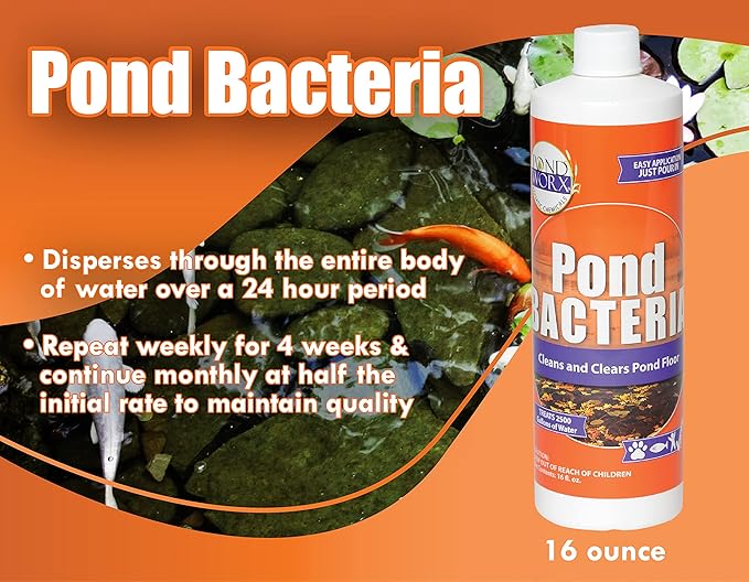 Pondworx Pond Bacteria - Concentrated &amp; Formulated for Water Features - Safe for Koi - 16 Ounces &amp; Treats up to 2,500 gallons of Water