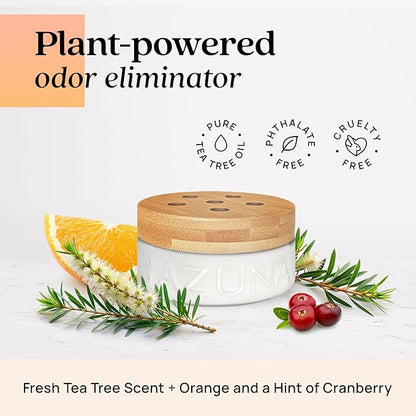 Azuna Air Freshener &amp; Odor Eliminator for Strong Odor | 2 Room Kit Includes (2) Empty Luxe Glass Jar &amp; 12oz Gel Refill with Tea Tree Essential Oil | Simply Citrus | Last 60-90 Days