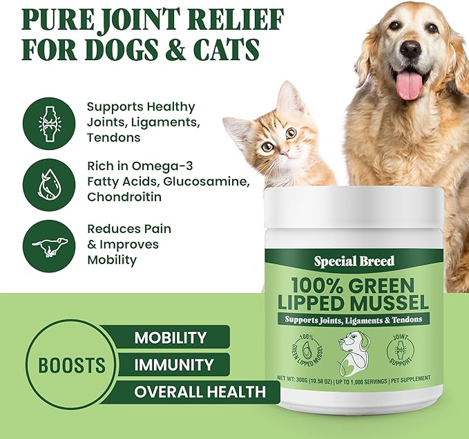 Green Lipped Mussel Powder for Dogs &amp; Cats - 100% New Zealand Green Lipped Mussels - Natural Hip &amp; Joint Supplement for Joints, Tendons, Ligaments, Muscles - 300 Grams - Up to 1,000 Servings