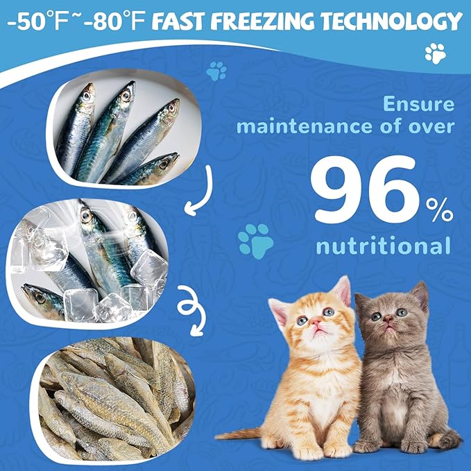 Freeze Dried Minnows Cat Treats – 100% Natural, Single-Ingredient Pet Snacks – Rich in Omega-3, Grain-Free – Healthy Training Rewards &amp; Meal Toppers for Dogs &amp; Cats, 2.8 oz