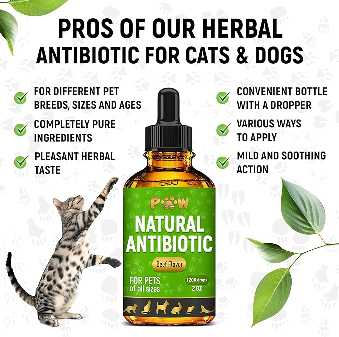 Antibiotics for Dogs | Antibiotics for Cats | Herbal Supplement for Digestion, Breathing, Urination | for Infections, Cough, Allergies | Beef Flavor &amp; Cranberry | for All Pet Breeds | 2 Oz