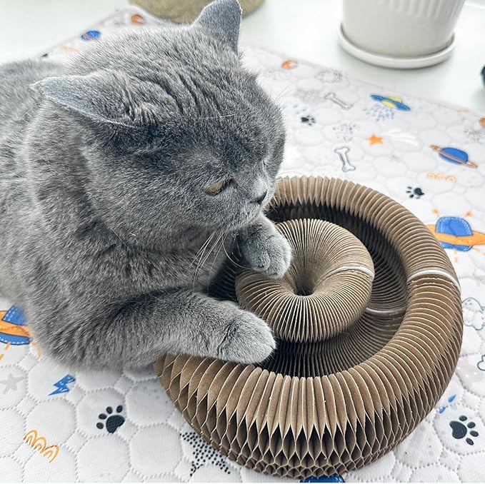 Magic Accordion Cat Scratching Board - Interactive Toy for Bored Indoor Cats, Fun &amp; Durable Cat Toys 2Pack