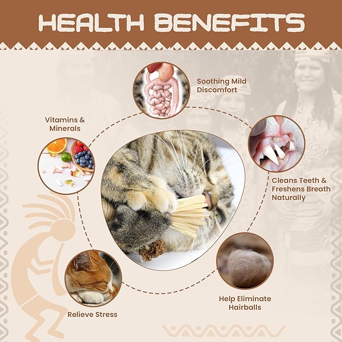 Catnip Silvervine Sticks for Cats | Silver Vine Chew Toy or Cat Chew Stick | Kitten Teething Toys | Cat Dental Chew with Cat Raffia Grass for Healthy Teeth &amp; Digestion | Silvervine Cat Toy | 2 Sticks
