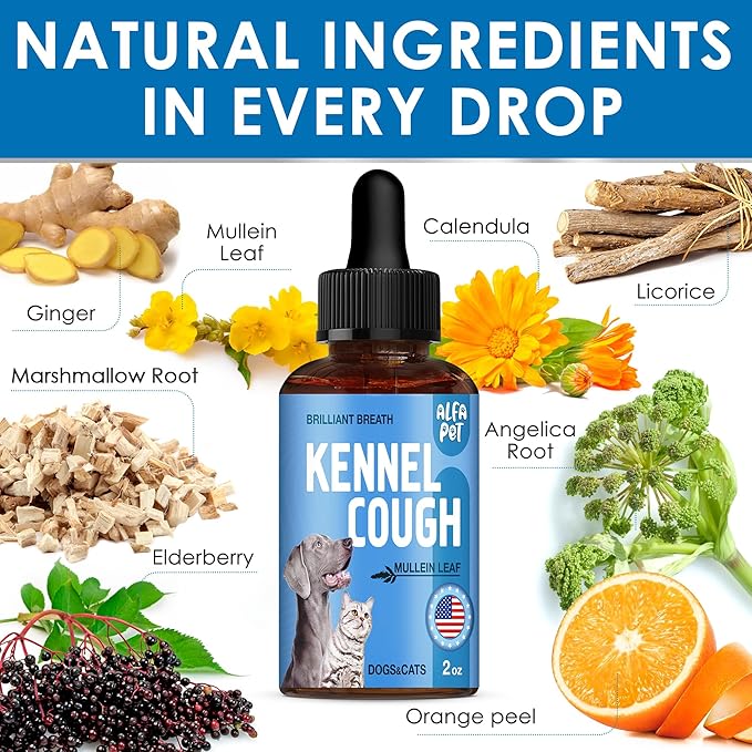 Dog Cough Treatment Liquid • Kennel Cough for Dogs &amp; Cats • for Breathing During All Life Cycle • Marshmallow Root + Mullein Leaf in The Composition • Natural Supplement for All Breeds • 2 Oz