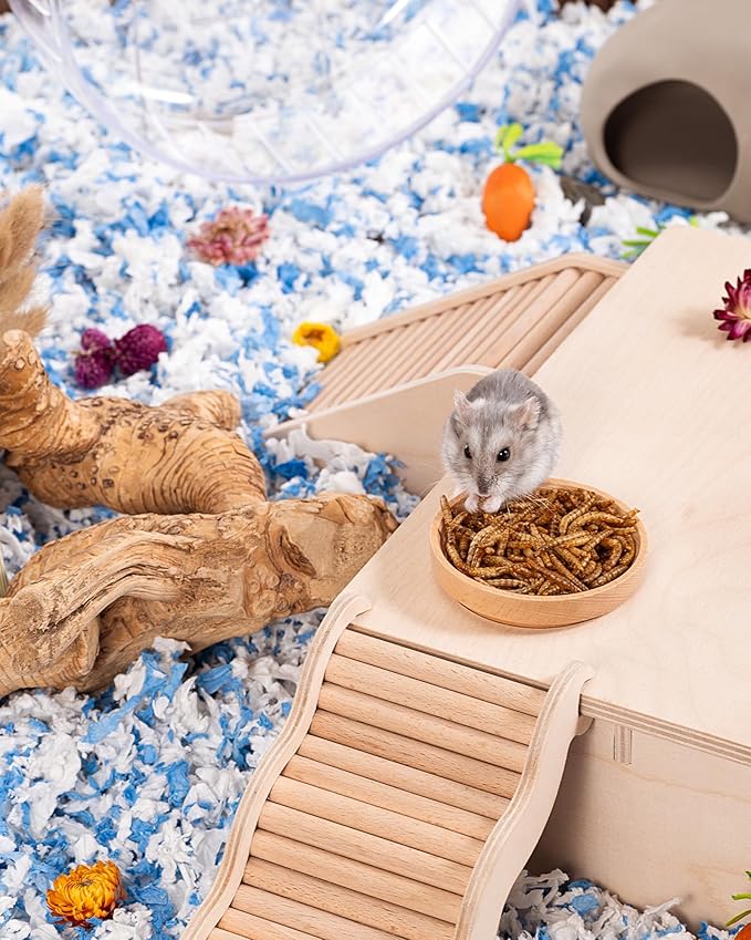 Niteangel Small Animal Snack &amp; Treats - Small Critter Natural Treat for Dwarf Syrian Hamsters Gerbils Mice Sugar Glider Hedgehogs Chickens Birds
