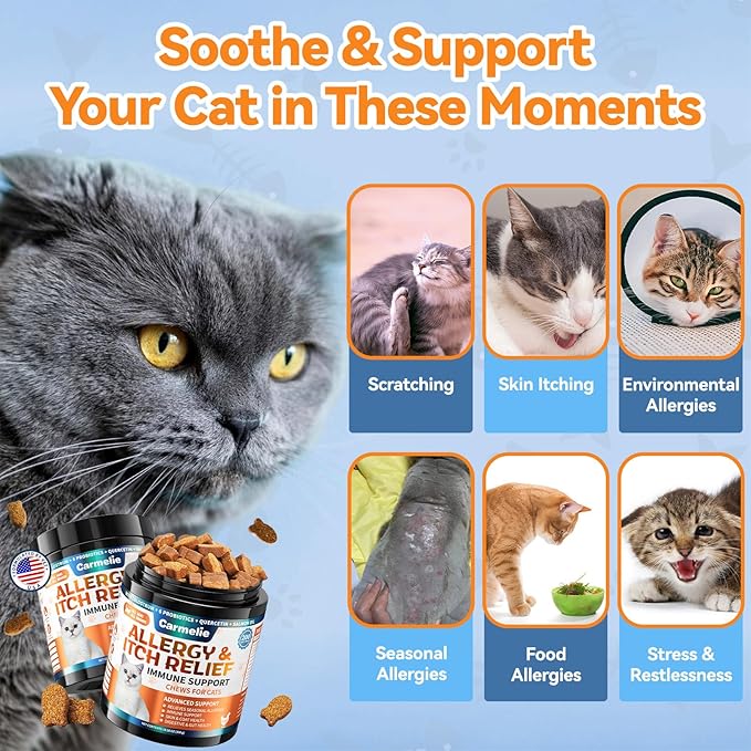 Cat Allergy Relief Chews 200 pcs - Cat Itchy Skin &amp; Paw Licking Relief - Omega 3 &amp; Probiotic for Cats - Anti-Itch Relief for Skin &amp; Coat Health, Immune Support, Seasonal Allergies - Chicken Flavor