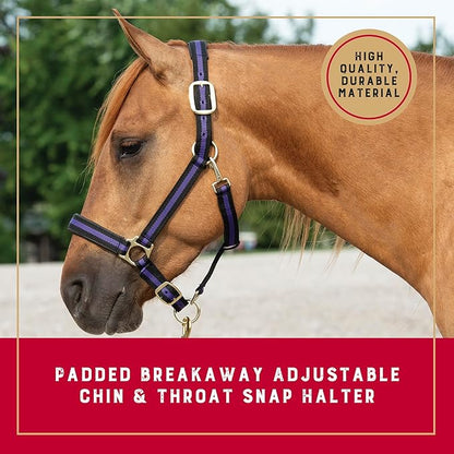 Weaver Equine Breakaway Horse Halter, Comfort Foam Padding, Adjustable Chin &amp; Throat Snap Halters for Horses, Equine Tack,Average Size