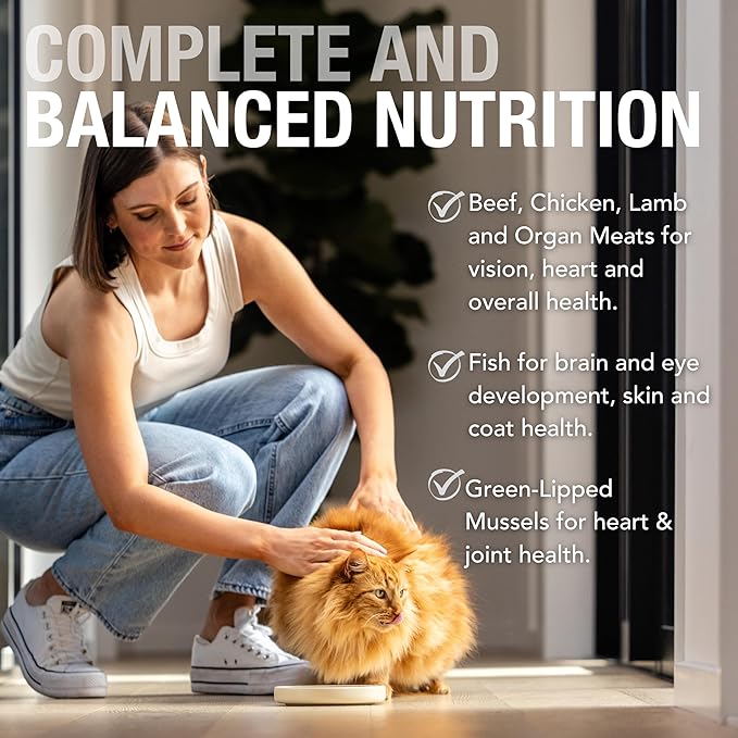 Feline Natural Wet Cat Food Variety Pack - Chicken, Lamb, Salmon &amp; Beef Feast, Grain-Free, 3oz Pouches, New Zealand Made, Assorted Single Serve Pates (12 Pack)