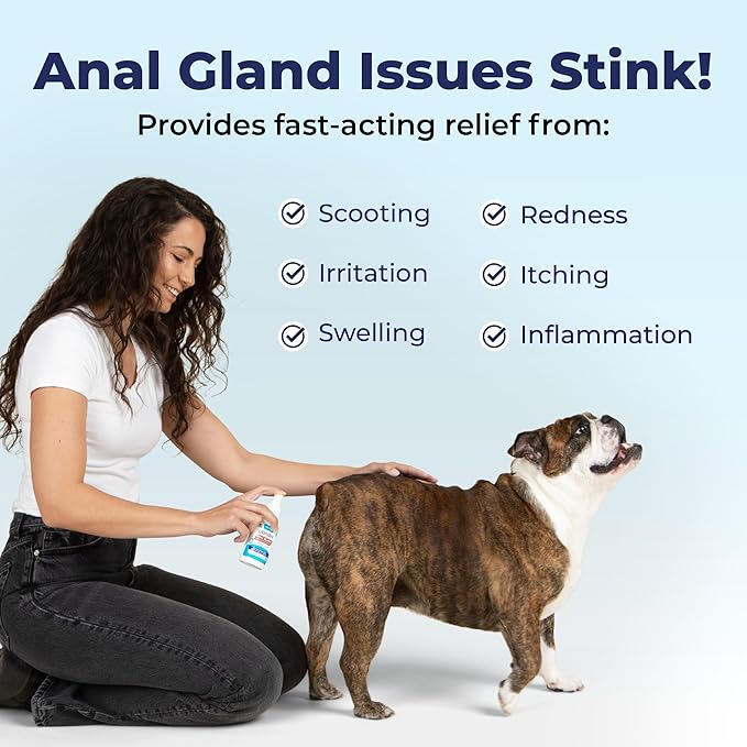 Vetnique Glandex Medicated Dog Butt Wipes or Spray for Dog Scooting - Topical Anti Itch Skin Relief for Soothing Inflamed Anal Glands in Dogs &amp; Cats - Fast Acting Formula (4oz Spray)