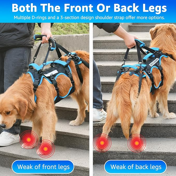 Dog Lift Harness for Large Male Dogs, 2-in-1, Back Leg Support &amp; Mobility Assistance for Senior Dogs, Post-Surgery Recovery Sling(Black, Large)