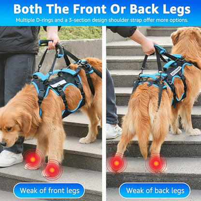 Dog Lift Harness for Large Male Dogs, 2-in-1, Back Leg Support &amp; Mobility Assistance for Senior Dogs, Post-Surgery Recovery Sling(Black, Large)
