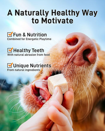 Freeze Dried Chicken Cats &amp; Dogs Treats, 1.1lb(17.63 OZ), Single Ingredient, High Protein, No Additives, Grain Free, Training &amp; Nutrition Supplements, Sealed Box