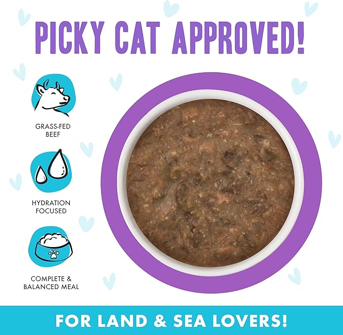 Weruva B.F.F. OMG - Best Feline Friend Oh My Gravy!, Best Day Eva! with Beef &amp; Salmon in Gravy Cat Food, 5.5oz Can (Pack of 8)