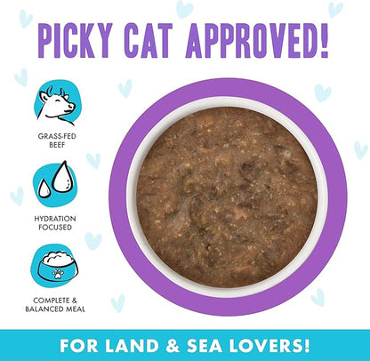 Weruva B.F.F. OMG - Best Feline Friend Oh My Gravy!, Best Day Eva! with Beef &amp; Salmon in Gravy Cat Food, 5.5oz Can (Pack of 8)
