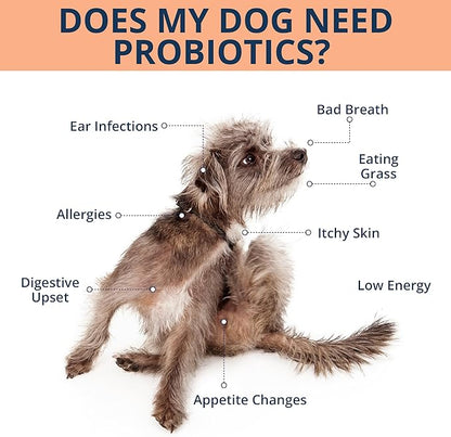 NOVEHA Probiotic Chews for Dogs | Gut Health &amp; Digestive Support | Healthy Skin &amp; Coat | Dog Probiotics for Yeast - Itchy Skin &amp; Itchy Ears | for Dogs with Allergies | 90 Chews (1-Pack)