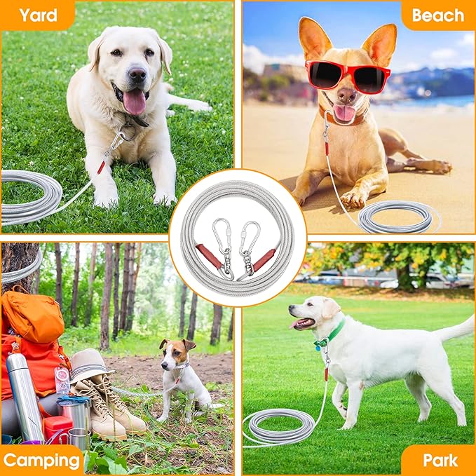 Dog Tie Out Cable for Dogs Outside Up to 250lbs,10/20/30/50/100FT Long Dog Leash&amp;Chains,Small-Large Dogs Runner Cable for Yard,Heavy Duty Lead Line for Outdoor,Camping,Yard (250lbs 100FT, Silver)
