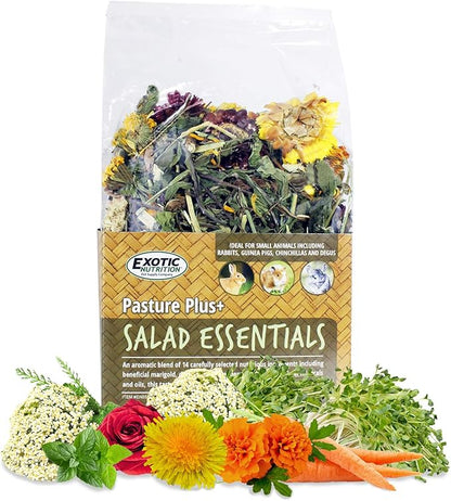 Pasture Plus+ Salad Essentials - Healthy Natural High-Fiber Dried Flower &amp; Herb Treat - Squirrels, Guinea Pigs, Rabbits, Chinchillas, Prairie Dogs, Degus, Hamsters, Gerbils &amp; Other Small Pets
