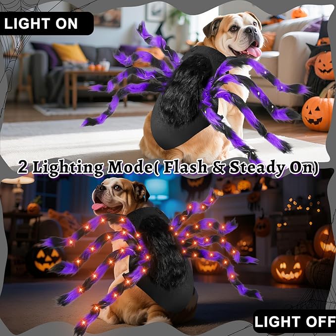 Light-Up Halloween Spider Dog Costume with Orange LED Lights, Purple &amp; Black Furry Spider Costumes for Pets, Funny Halloween Costume Outfit for Cosplay Party (XL)