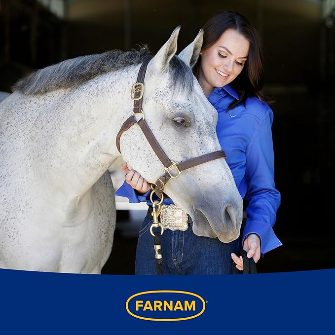 Farnam Hindgut Stabilizer Pellets, Daily Digestive &amp; Immune Supplement for Horses Helps Maintain a Balanced Microbiome for Optimal Digestion