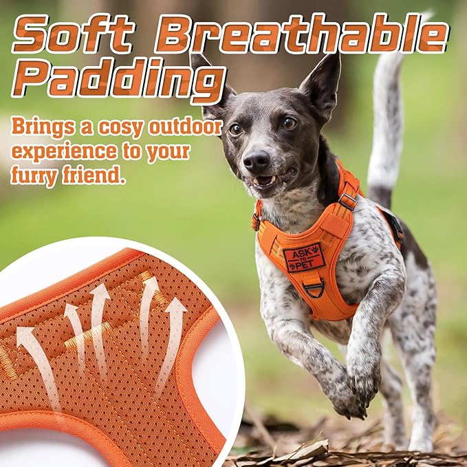 rabbitgoo Tactical Dog Harness Medium Sized Dog, No Pull Military Service Vest with Handle &amp; Molle, Easy Control for Training Walking, Adjustable Reflective Straps, Orange, M