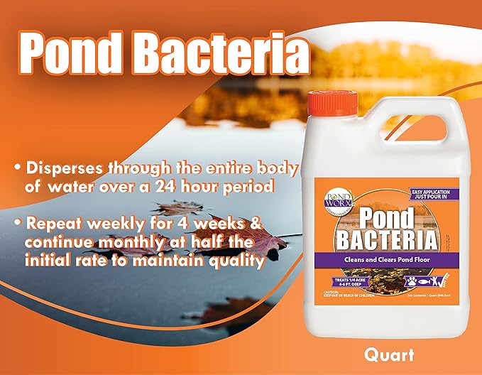 Pondworx Pond Bacteria - Concentrated &amp; Formulated for Large Ponds, Water Features - Safe for Koi - 32ounes &amp; Treats up to a Quarter Acre Pond