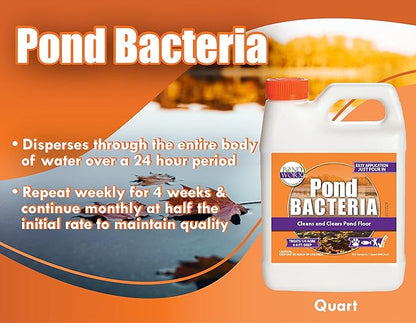 Pondworx Pond Bacteria - Concentrated &amp; Formulated for Large Ponds, Water Features - Safe for Koi - 32ounes &amp; Treats up to a Quarter Acre Pond