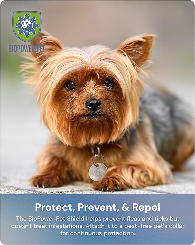 Natural Flea &amp; Tick Repellent Collar Tag for Dogs &amp; Cats – BioPower Pet Shield – Safe for Pets When Used as Directed – Lasts 1 Full Year - Small/Regular Tag Bundle (1 Pack)