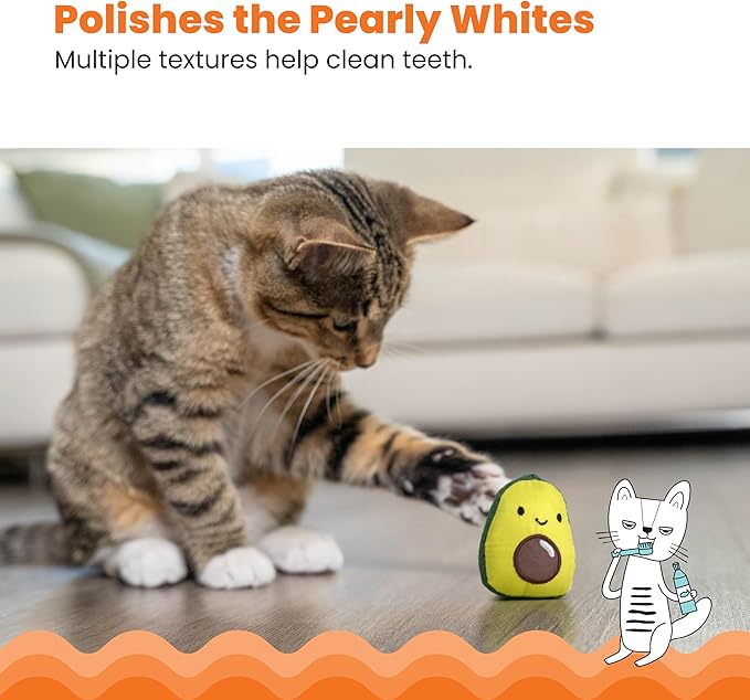 Catstages Lil&