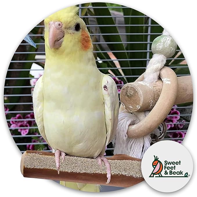 Superoost Manzanita Pumice Pedicure Perch- Easy to Install Bird Cage Accessories for Healthy Feet, Nails and Beak - Natural Bird Perches Imitates Birds&