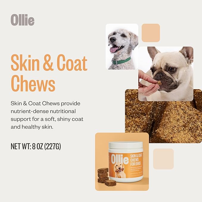 Ollie Dog Skin &amp; Coat Supplement, Soothes Irritated Skin, Promotes Healthy &amp; Shiny Fur &amp; Coat, 60 Count Appx.