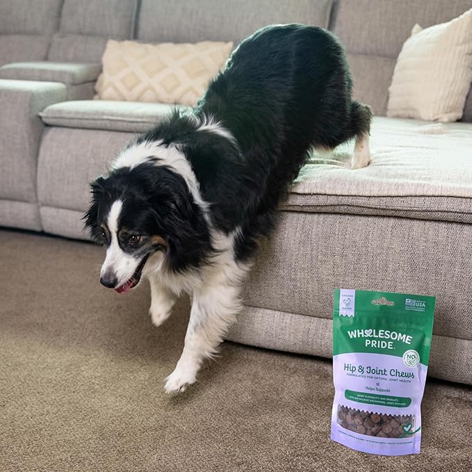 Wholesome Pride Hip &amp; Joint Supplement for Dogs – 90 Soft Chews – Glucosamine, Chondroitin, MSM &amp; Turmeric – Mobility Support &amp; Arthritis Relief for Growing, Adult &amp; Senior Dogs