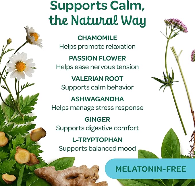 Wholesome Pride Calming Supplement for Dogs - 90 Soft Chews - Natural Anxiety Relief, Separation &amp; Noise Stress Support with Herbal Ingredients, No Melatonin, Non-Drowsy