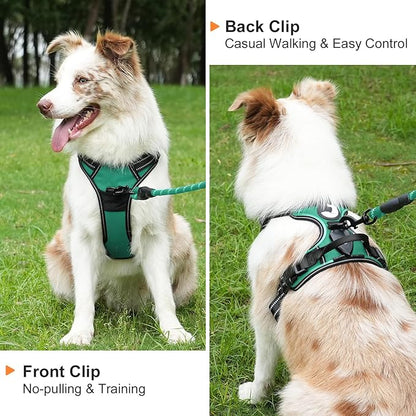 Taglory Light Up Dog Harness, Rechargeable No Pull Dog Vest with 3 Lightning Modes, Reflective Dog Harness with 2 Leash Clips &amp; 4 Adjustable Slide Strips for Large Dogs, Turquoise-Green, L