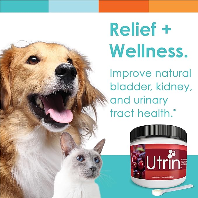 UTRIN - Urinary Support for Cats &amp; Dogs - Dual-Action Cranberry &amp; D-Mannose - for Natural Bladder Health, Incontinence, and Recurring UTI, 60 Servings