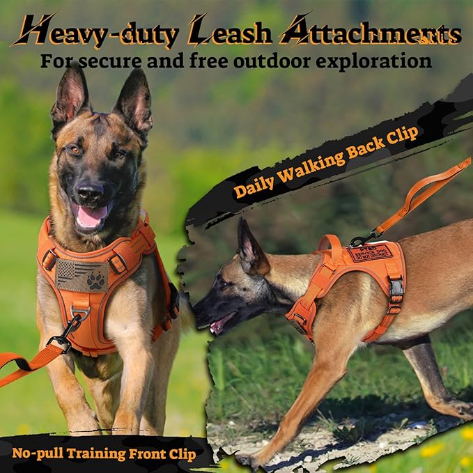 rabbitgoo Dog Harness Medium Sized No Pull, Tactical Service Pet Vest with Molle and Control Handle, Adjustable and Reflective Military Harness for Easy Walking and Training, Orange, M