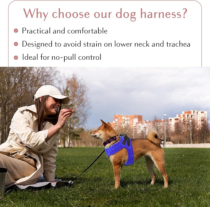 Comfort Fit No Pull Dog Harness – Adjustable Step-in Vest for Small, Medium &amp; Large Dogs, Soft Padded with Leash Clips, Reflective Straps &amp; Handle