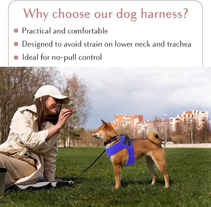 Comfort Fit No Pull Dog Harness – Adjustable Step-in Vest for Small, Medium &amp; Large Dogs, Soft Padded with Leash Clips, Reflective Straps &amp; Handle