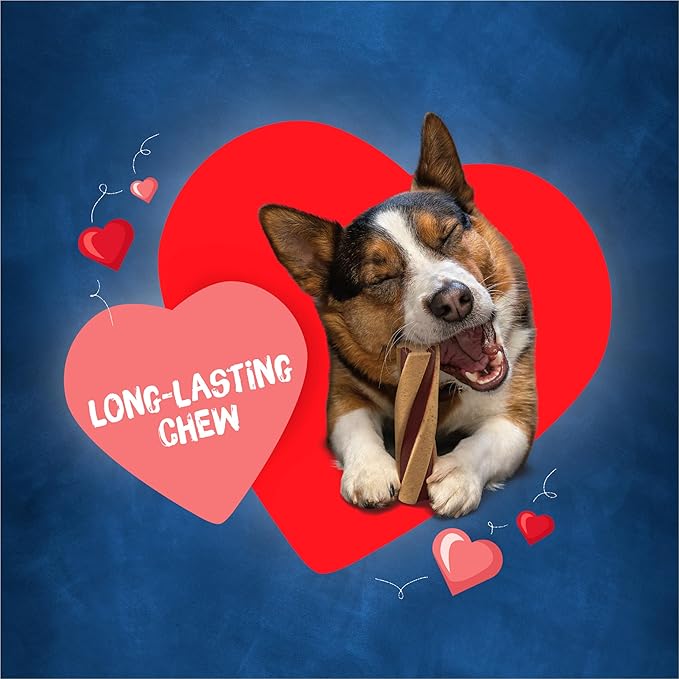 Purina Busy With Beggin&