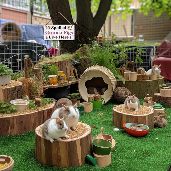 Big Hamster Ball &amp; Guinea Pig Hideout - Stuffed Animals &amp; Accessories for Guinea Pig Cage - 12x6 In Wooden Sign