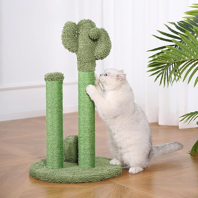 Amazon Basics Cat Scratcher - Indoor Cactus Triple Posts Cat &amp; Kittens Scratching Post with Dangling Ball, Large (27"H) - Green