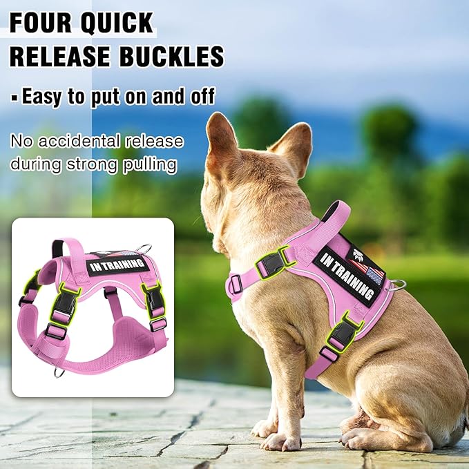WINSEE Service Dog in Training Harness with 5 PCS Patches, Reflective Tactical Dog Vest Harness, Adjustable Soft Oxford Pet Harness with Easy Control Handle, Hook &amp; Loop Panels for Walking Hiking