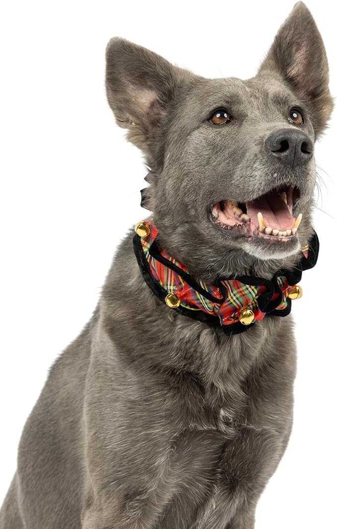 Huxley &amp; Kent Ruff Pet Scrunchy | Shiny Christmas Plaid (Extra-Large) | Festive Christmas/Holiday Neckwear for Dogs/Cats | Fun Stretchable Costume Accessory | Soft Collar with Bells