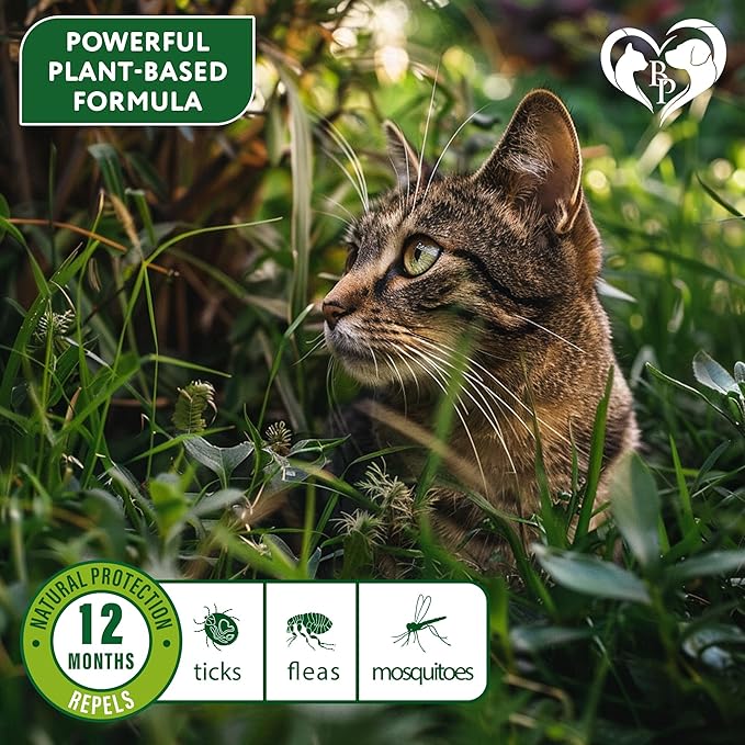 Natural Flea &amp; Tick Collar for Cats - 12 Months Control of Best Prevention &amp; Safe Treatment - Anti Fleas and Ticks Essential Oil Repellent (2 Pack)