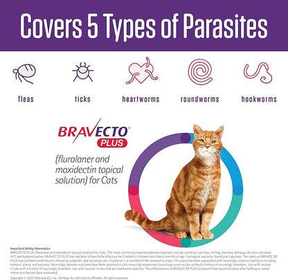 BRAVECTO PLUS Topical Solution for Cats, Flea, Tick &amp; Heartworm, 2 Months Supply, 6.2-13.8 lbs., Blue Box
