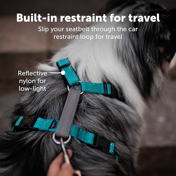 PetSafe 3 in 1 Dog Harness - No Pull Solution for Dogs - Reflective Dog Harness - Front D-Ring Clip Helps Stop Pulling - Comfortable Padded Straps - Top Handle Enhances Control - Plum - Medium