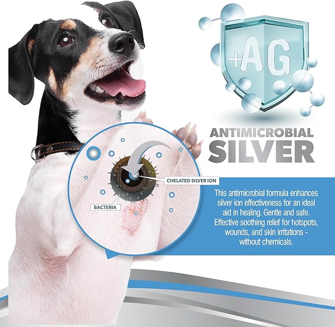 PetSilver Wound &amp; Skin Spray - Dog Wound Spray, Hot Spot, Allergy Relief for Dogs, Itch Spray for Cats - Natural Skin Soother - Chelated Silver, Superior to Colloidal Silver - Made in USA - 4 fl oz