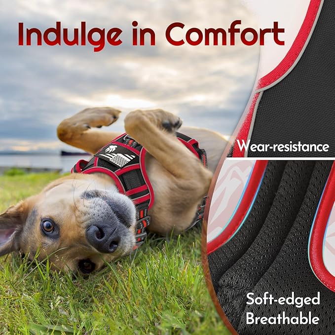 Eagloo Dog Harness for Large Dogs, Easy Wearing with 3 Buckles, Adjustable No Pull Pet Harness with 2 Rings for Walking, No Chock Reflective Soft Padded Vest with Control Handle, Black &amp; Red, L